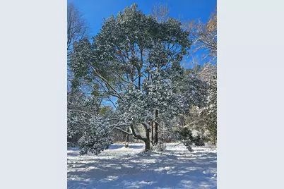 607 Hewett Road, Defuniak Springs, FL 32435 - Photo 5