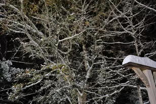 607 Hewett Rd, Defuniak Springs, FL 32435 - Photo 7