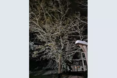 607 Hewett Road, Defuniak Springs, FL 32435 - Photo 13