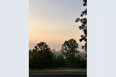 23186 Dewight Stone Avenue, Florala, AL 36442 - Photo 25