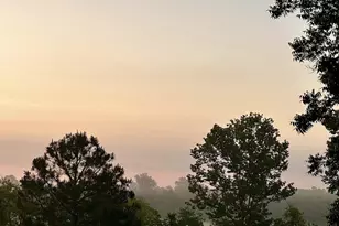 23186 Dewight Stone Ave, Florala, AL 36442 - Photo 25