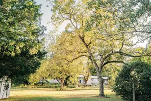 23186 Dewight Stone Ave, Florala, AL 36442 - Photo 7