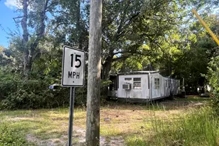 75 Hankins Rd, Freeport, FL 32439 - Photo 3