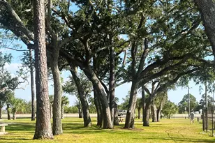 75 Hankins Rd, Freeport, FL 32439 - Photo 15