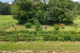 3754 Annie Rd, Marianna, FL 32446 - Photo 35