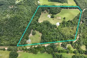 3754 Annie Rd, Marianna, FL 32446 - Photo 45