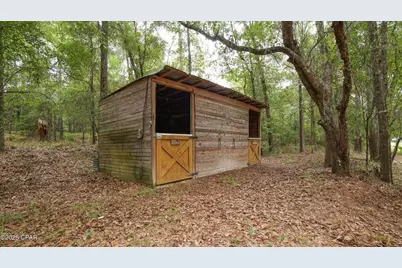 3754 Annie Road, Marianna, FL 32446 - Photo 31