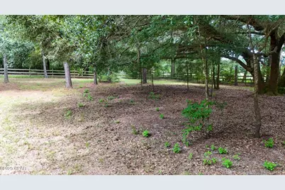 3754 Annie Road, Marianna, FL 32446 - Photo 29