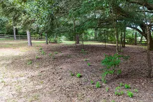 3754 Annie Rd, Marianna, FL 32446 - Photo 29