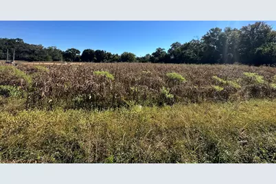 Lot 2 St. Hwy 4 Beck Avenue, Jay, FL 32565 - Photo 21