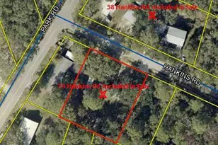 58 Hankins Rd, Freeport, FL 32439 - Photo 3