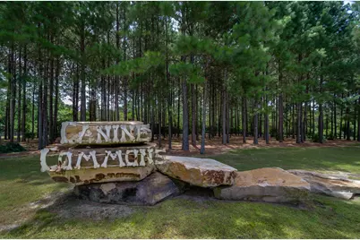 125 Whitman Way, Freeport, FL 32439 - Photo 67