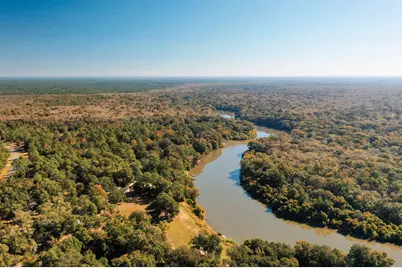 117 Reddick Loop, Ponce de Leon, FL 32455 - Photo 5