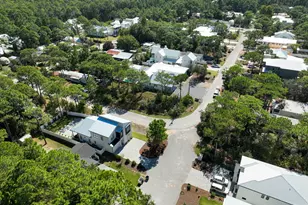 1140 N County Hwy 393 N, Santa Rosa Beach, FL 32459 - Photo 53