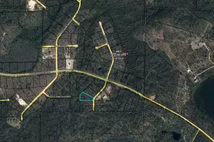 Lot 29 Red Rd, Marianna, FL 32448 - Photo 1