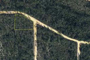 Lot 18 Bay Dr, Marianna, FL 32448 - Photo 1