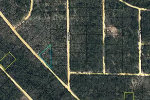 Lot 10 Hillside Dr, Marianna, FL 32448 - Photo 1