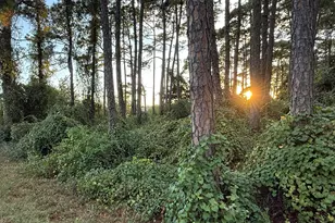 8302 Montalban St, Navarre, FL 32566 - Photo 1