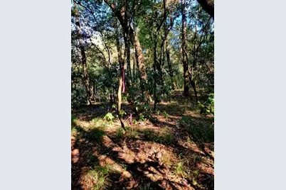 19 Acres Walton Bridge Road, Ponce de Leon, FL 32455 - Photo 7