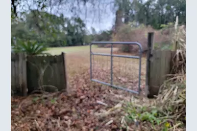 19 Acres Walton Bridge Road, Ponce de Leon, FL 32455 - Photo 25