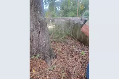 19 Acres Walton Bridge Road, Ponce de Leon, FL 32455 - Photo 27