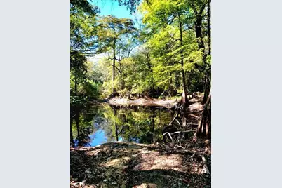 19 Acres Walton Bridge Road, Ponce de Leon, FL 32455 - Photo 3