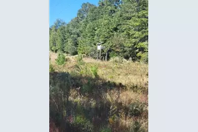 19 Acres Walton Bridge Road, Ponce de Leon, FL 32455 - Photo 9