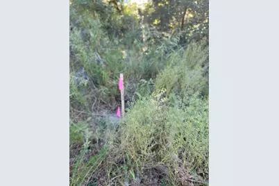 19 Acres Walton Bridge Road, Ponce de Leon, FL 32455 - Photo 17