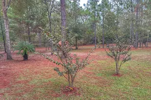 721 Coventry Rd, Defuniak Springs, FL 32433 - Photo 13