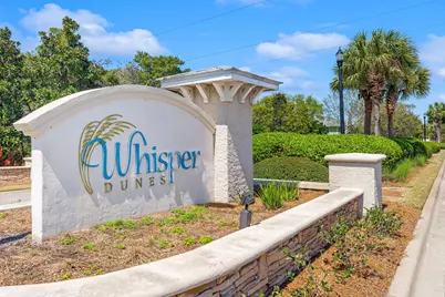 106 Blue Sage Road, Panama City Beach, FL 32413 - Photo 43