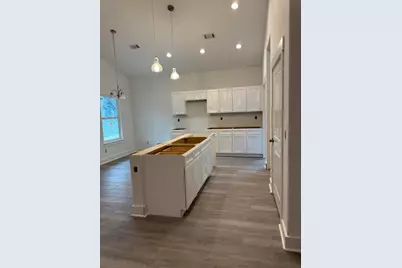 735 Indian Woman Road, Santa Rosa Beach, FL 32459 - Photo 3