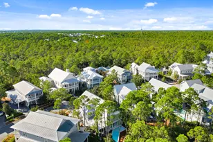 384 E Royal Fern Way E, Santa Rosa Beach, FL 32459 - Photo 53