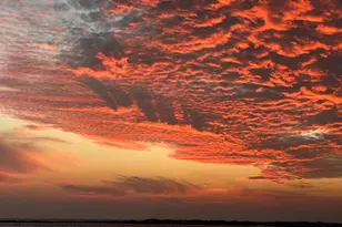 100 Gulf Shore Dr, Destin, FL 32541 - Photo 5