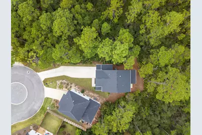 248 Euvino Way, Santa Rosa Beach, FL 32459 - Photo 3