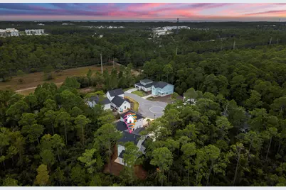 248 Euvino Way, Santa Rosa Beach, FL 32459 - Photo 55