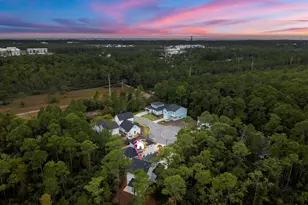 248 Euvino Wy, Santa Rosa Beach, FL 32459 - Photo 55