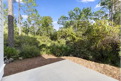 248 Euvino Way, Santa Rosa Beach, FL 32459 - Photo 41