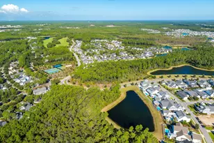 46 Needle Cast Ln, Inlet Beach, FL 32461 - Photo 75