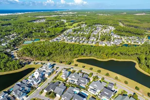 46 Needle Cast Ln, Inlet Beach, FL 32461 - Photo 85