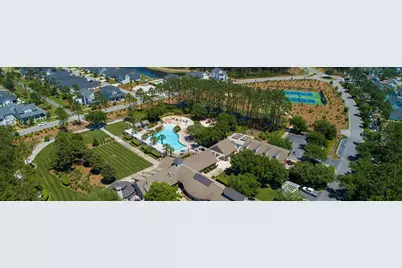 46 Needle Cast Lane, Inlet Beach, FL 32461 - Photo 89