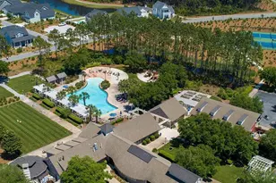 46 Needle Cast Ln, Inlet Beach, FL 32461 - Photo 89