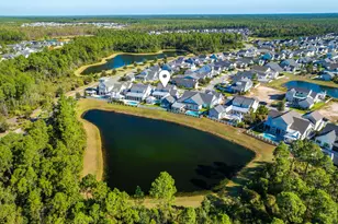 46 Needle Cast Ln, Inlet Beach, FL 32461 - Photo 77