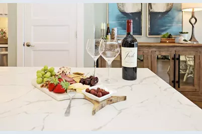 4341 E County Highway 30A E #C402, Santa Rosa Beach, FL 32459 - Photo 9