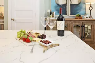 4341 E County Hwy 30A E, Santa Rosa Beach, FL 32459 - Photo 9