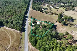 6837 Co Hwy 1087, Defuniak Springs, FL 32433 - Photo 35