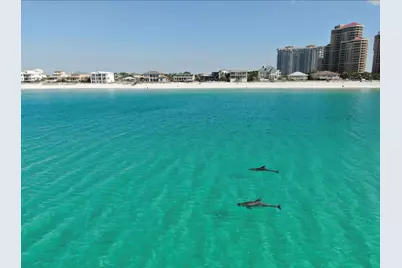 713 Sandpiper Drive # 10667, Miramar Beach, FL 32550 - Photo 33