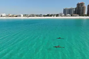 713 Sandpiper Dr, Miramar Beach, FL 32550 - Photo 33