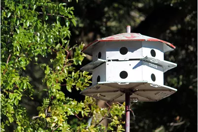 311 McEwen Drive, Niceville, FL 32578 - Photo 3