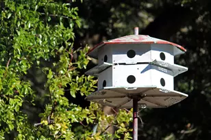 311 McEwen Dr, Niceville, FL 32578 - Photo 3