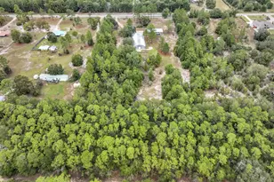 4156 Painter Branch Rd, Crestview, FL 32539 - Photo 37